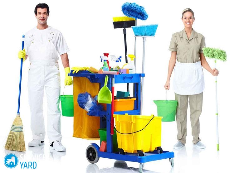 Как избавиться от плесени в квартире на стенах в домашних условиях?