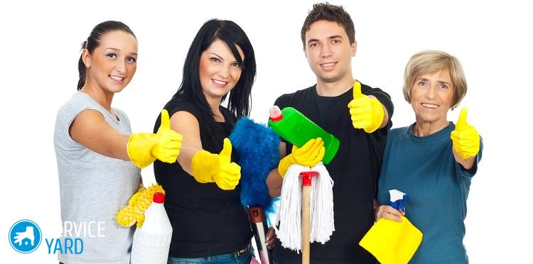 Как избавиться от плесени в квартире на стенах в домашних условиях?