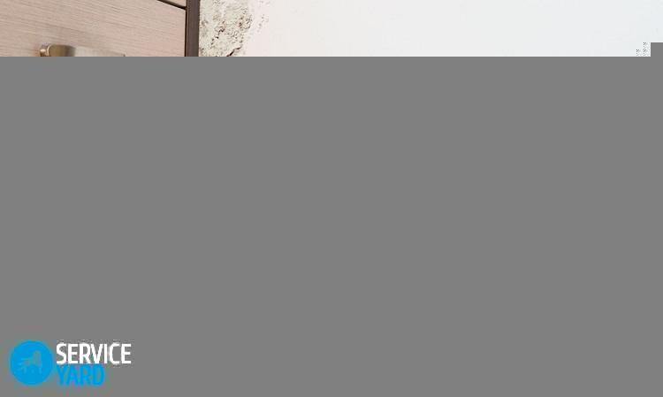 Как избавиться от плесени в квартире на стенах в домашних условиях?