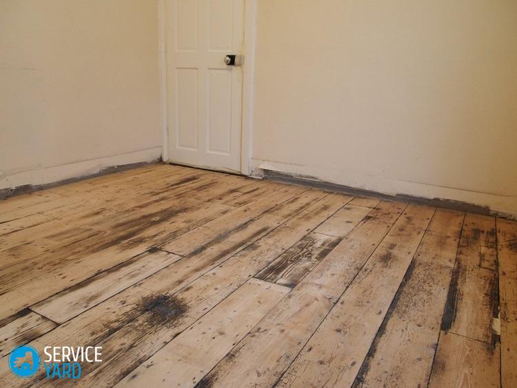 Как избавиться от плесени в квартире на стенах в домашних условиях?