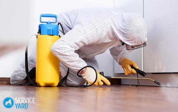 Как избавиться от плесени в квартире на стенах в домашних условиях?