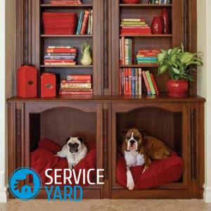 Как избавиться от запаха псины в квартире?