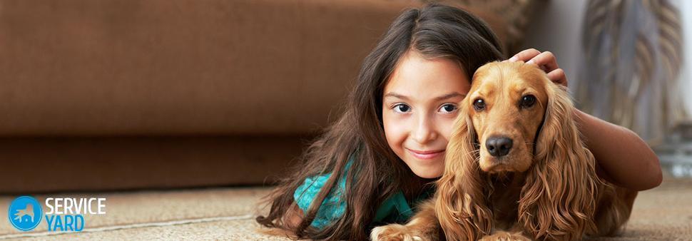 Как избавиться от запаха собачьей мочи?