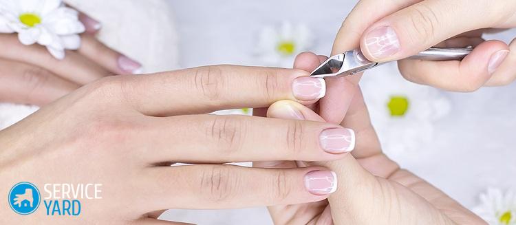 Как начать ногтевой бизнес — выгодно ли это?