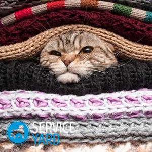 Как очистить одежду от шерсти кошки?