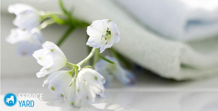 Как отбелить покрасившуюся белую вещь в домашних условиях?