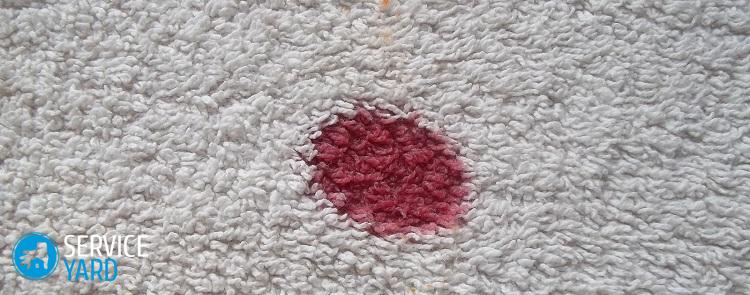 Как отмыть кровь с ковра