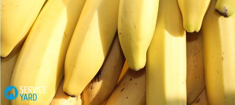 Как отстирать банан с детской одежды?
