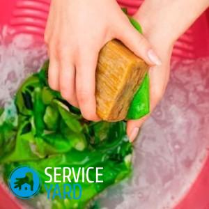 Как отстирать ? чистотел