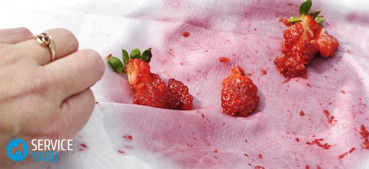 Как отстирать клубнику с одежды ?