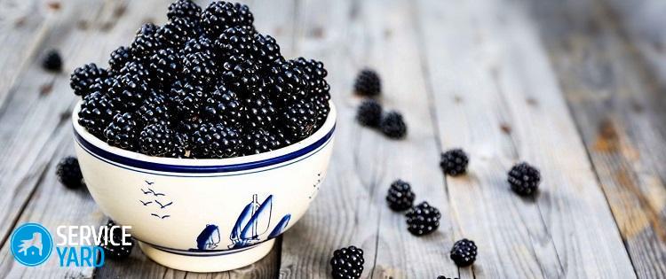 Как отстирать шелковицу с одежды?