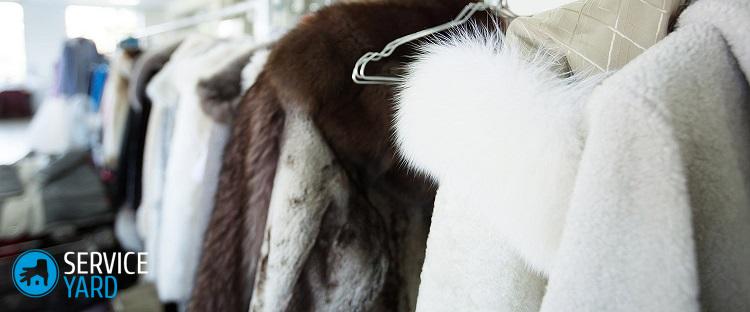 Как почистить белый мех от желтизны в домашних условиях?