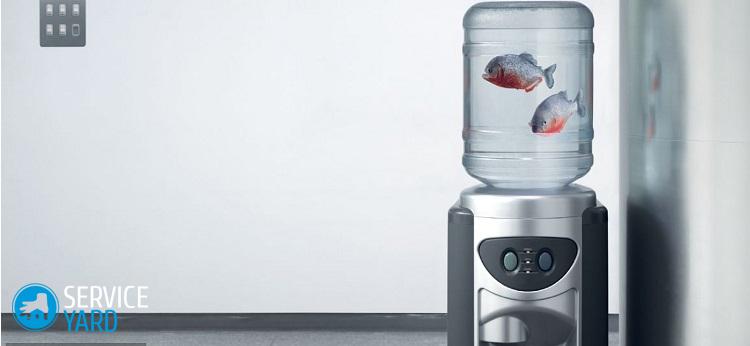 Как почистить кулер для воды в домашних условиях?