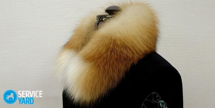 Как почистить меховой воротник в домашних условиях?