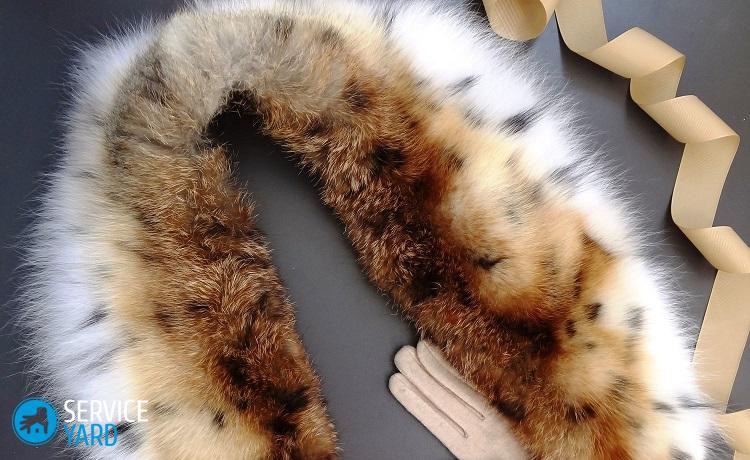 Как почистить меховой воротник в домашних условиях?