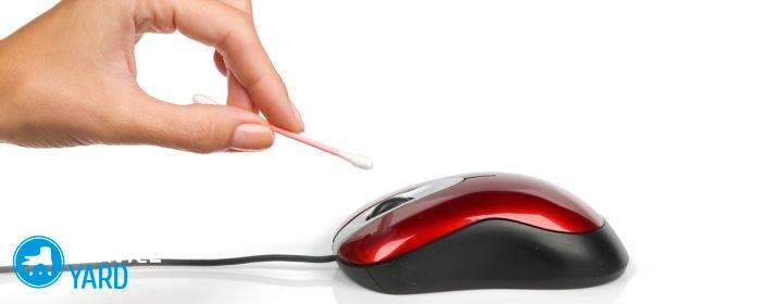 Как почистить мышку от грязи?