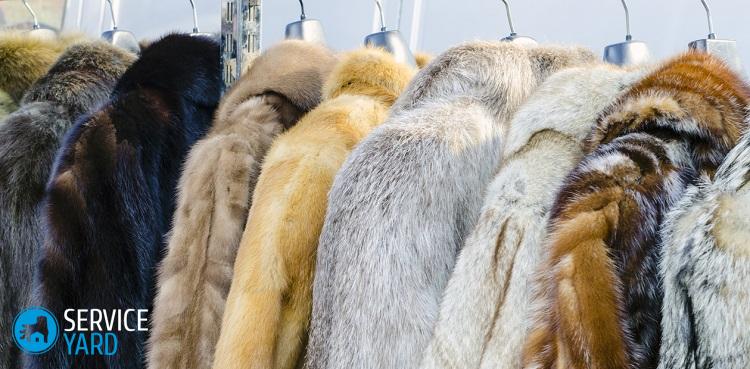 Как почистить норковую шубу в домашних условиях?