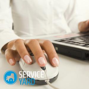 Как почистить ноутбук от вирусов самостоятельно?