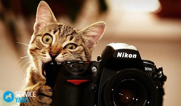 Как почистить объектив фотоаппарата в домашних условиях?