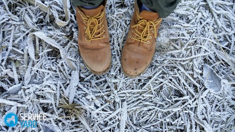 Как почистить обувь из нубука от пятен ? можно ли мыть, как восстановить цвет