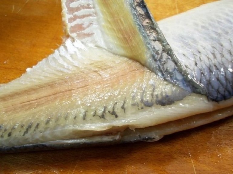 Как почистить селедку легко, быстро и без костей