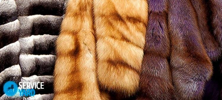 Как почистить шубу из натурального меха в домашних условиях?
