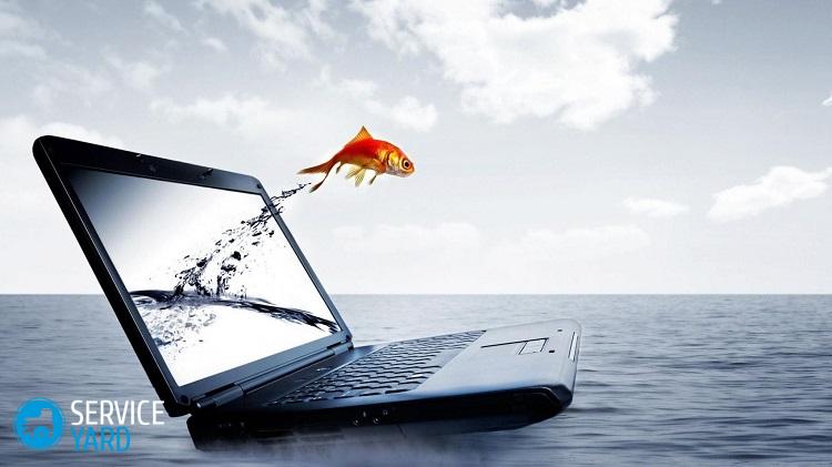 Как поставить обои на рабочий стол?