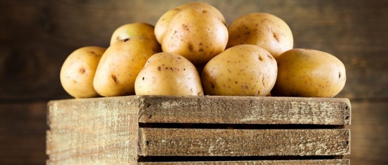 Как правильно хранить картошку в квартире и частном доме Как правильно хранить картошку в квартире и частном доме