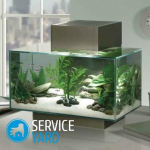 Как правильно установить обогреватель в аквариум?