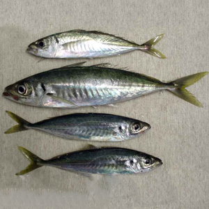 Как приготовить линя ? быстро и просто