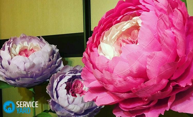 Как сделать большие цветы из бумаги своими руками для украшения зала?