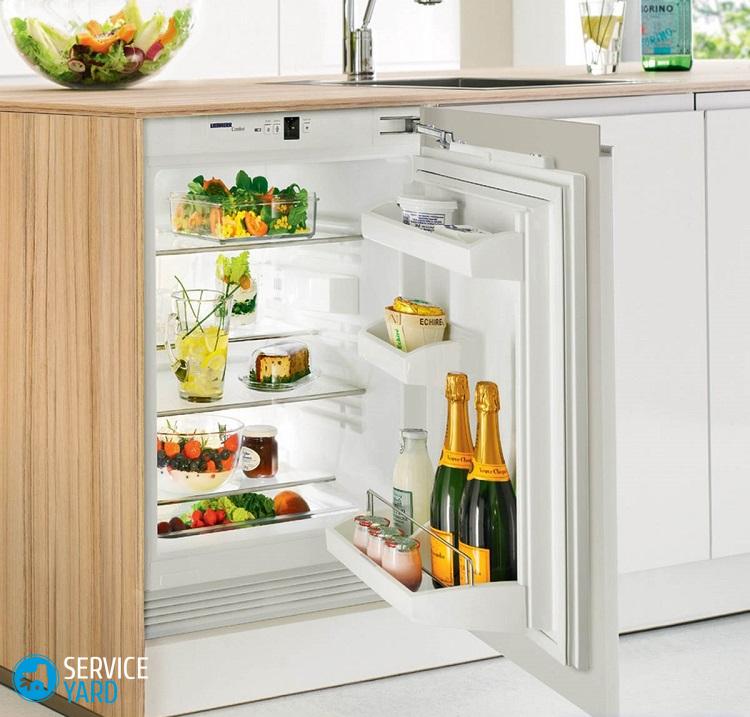 Как сделать морозильную камеру своими руками?