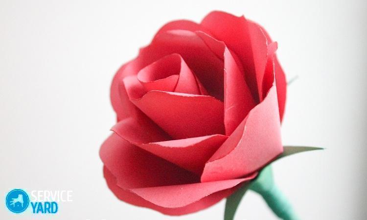 Как сделать розу из бумаги?