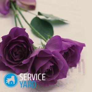 Как сделать розу из салфетки?