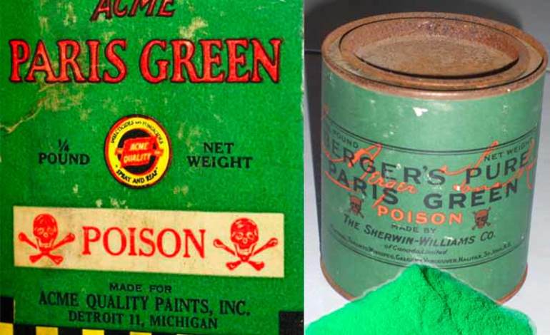 Как убрать гнездо шершней из-под крыши или с дерева на даче