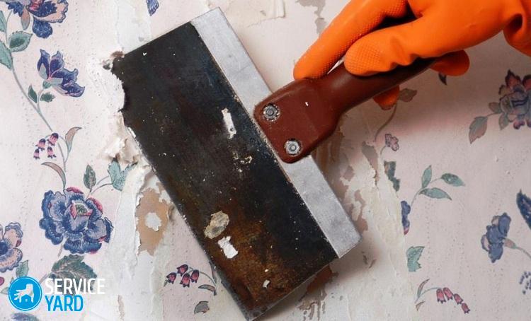 Как убрать плесень с обоев, не сдирая обои?