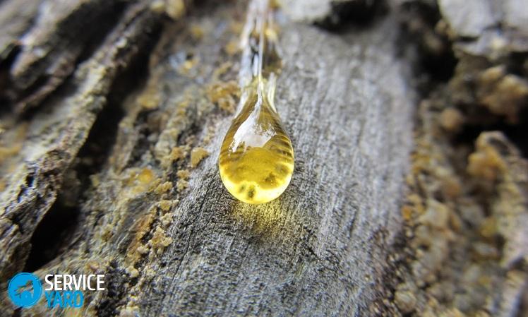 Как убрать смолу с одежды в домашних условиях?