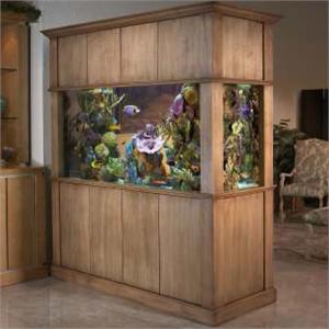 Как убрать запах из аквариума