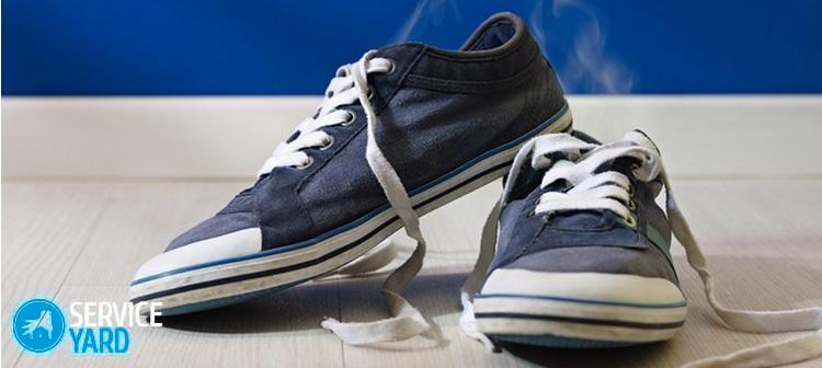 Как убрать запах из кроссовок в домашних условиях быстро?