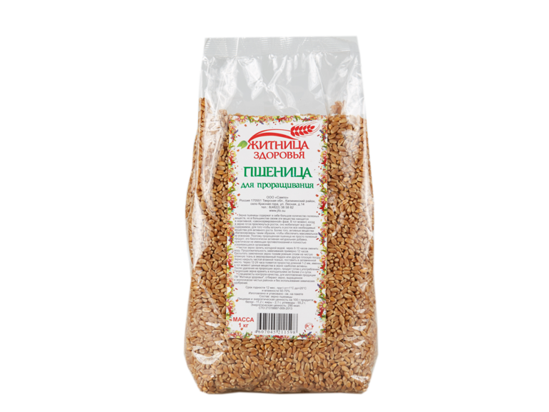 Как вырастить траву для кошек в домашних условиях