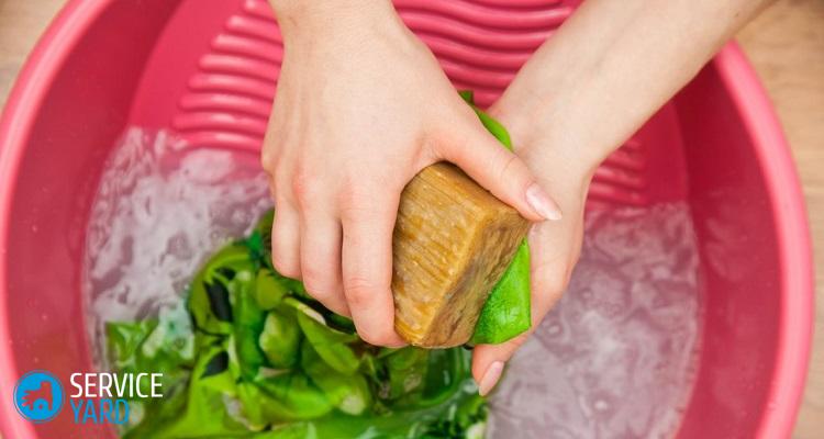 Как вывести плесень с одежды в домашних условиях?