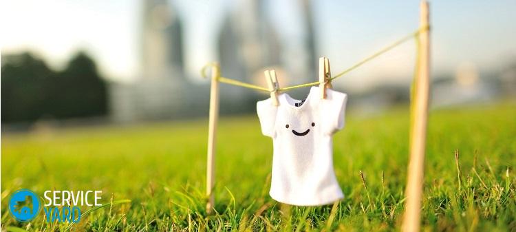 Как вывести плесень с одежды в домашних условиях?