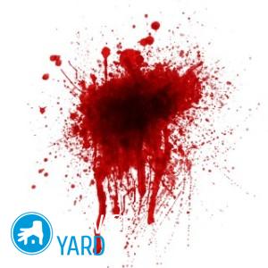 Как вывести пятна от крови?