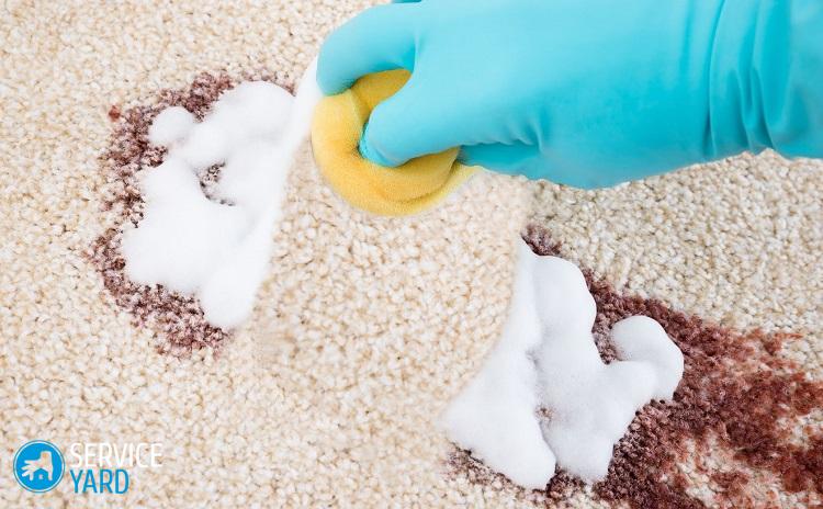 Как вывести пятно на шерсти?