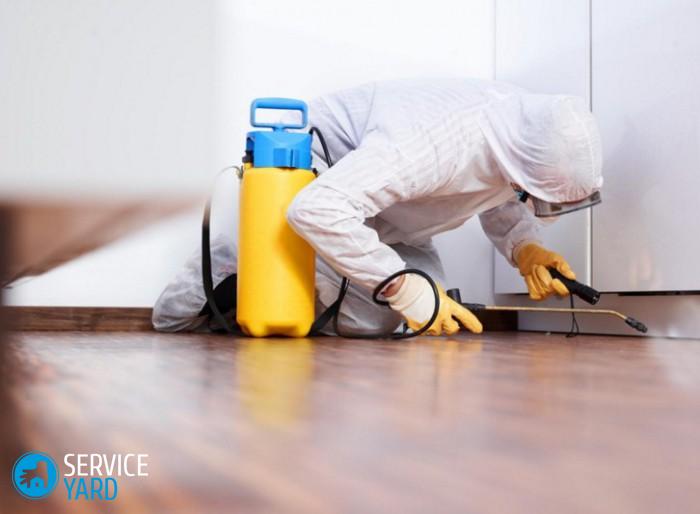 Как вывести тараканов с кухни ? как травить эффективно и быстро в доме, средства для борьбы