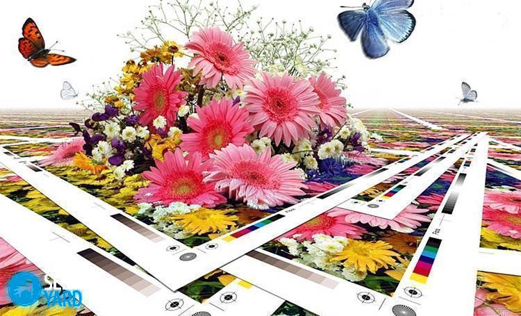 Какая фотобумага лучше для принтера Epson?