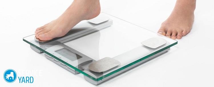 Какие весы лучше — механические или электронные?