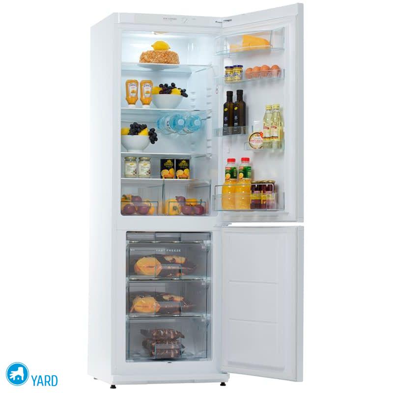 Какой холодильник лучше — “Ноу Фрост” или капельный?