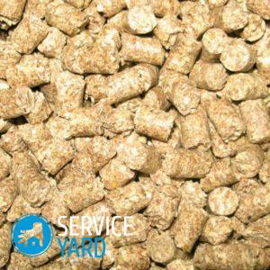 Какой лоток лучше для кошки?