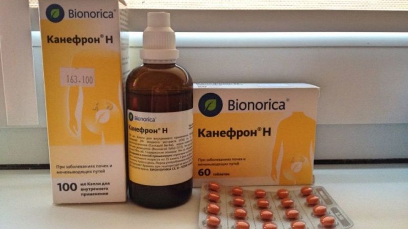 Канефрон — склад, показання, інструкція, побічні дії, відгуки. Як приймати Канефрон — до їди чи після? Чи можна приймати Канефрон при вагітності, дітям?